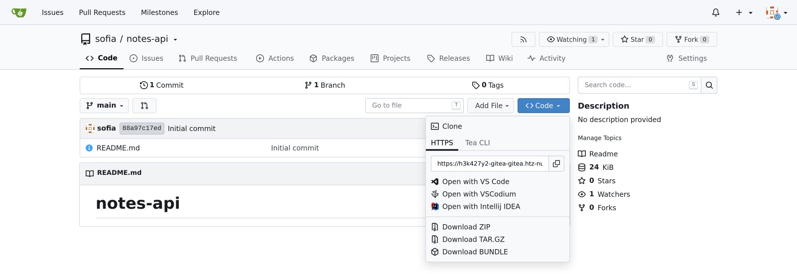 A new repository and its HTTPS clone address